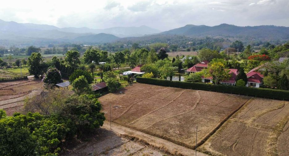 For sale land in Pai, Mae Hong Son