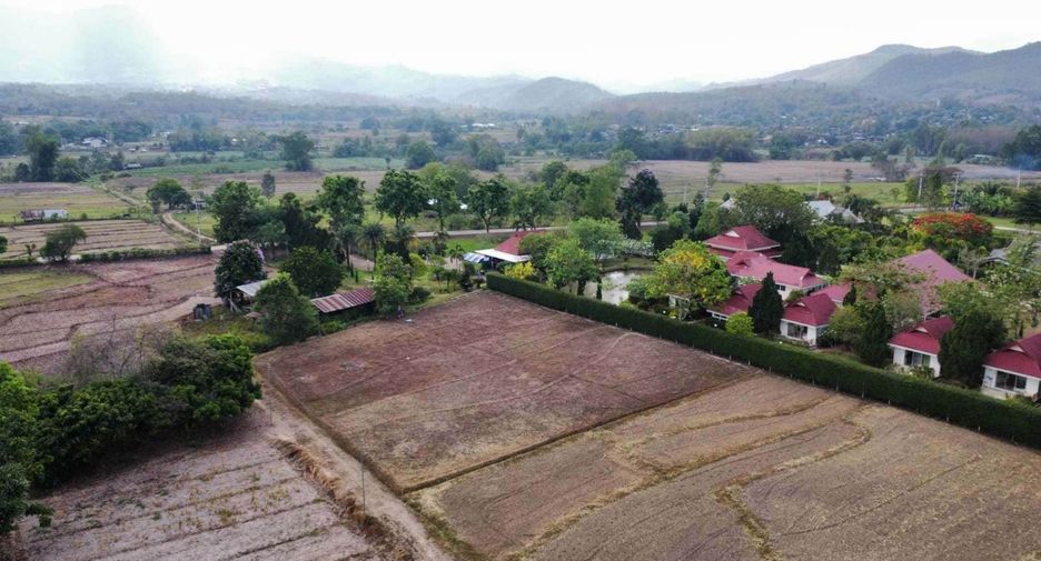 For sale land in Pai, Mae Hong Son