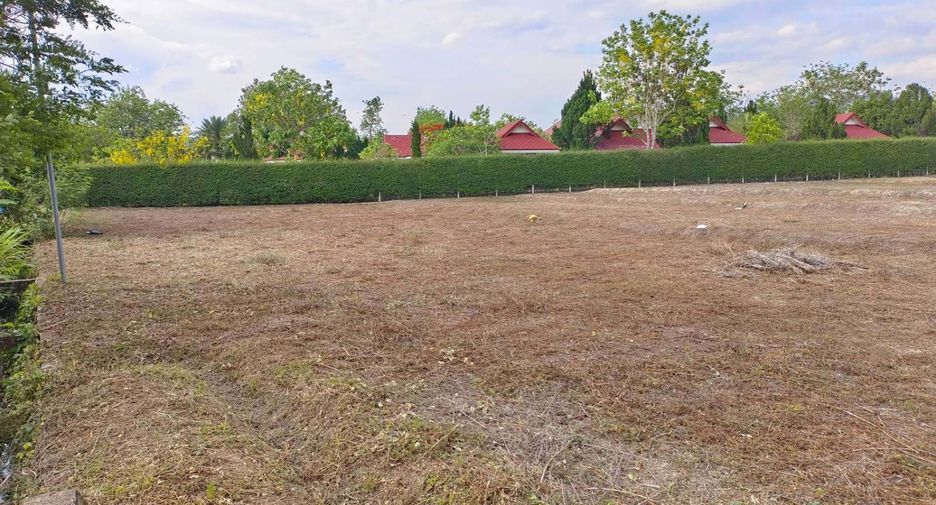 For sale land in Pai, Mae Hong Son