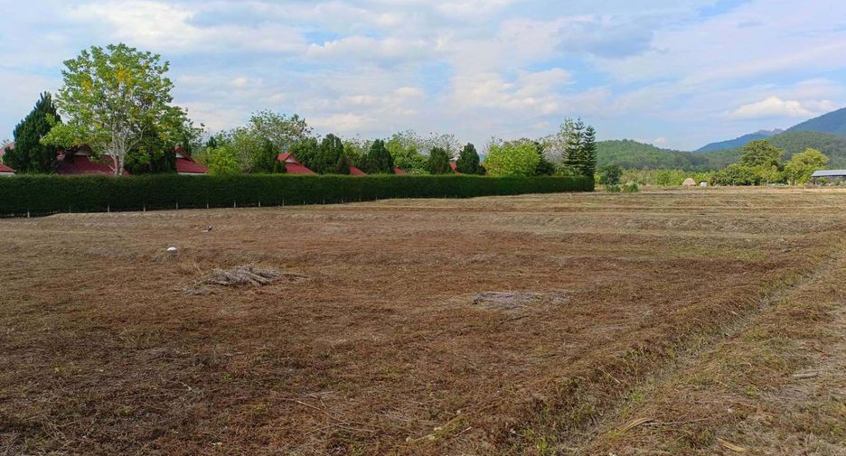 For sale land in Pai, Mae Hong Son