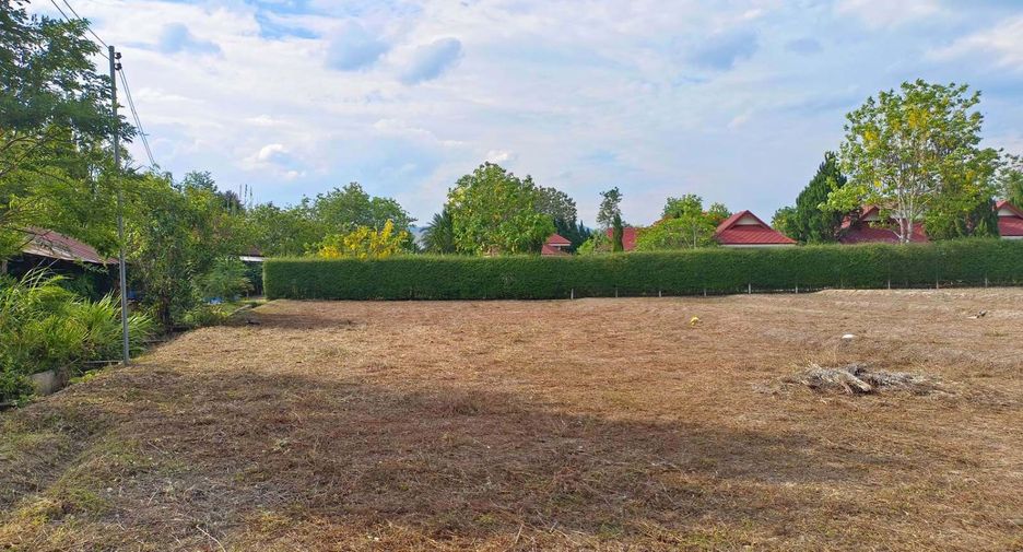 For sale land in Pai, Mae Hong Son