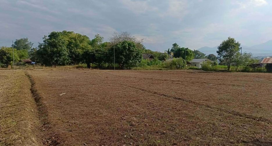 For sale land in Pai, Mae Hong Son