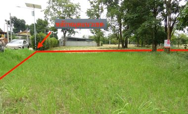 ขาย ที่ดิน ใน ปากช่อง, นครราชสีมา