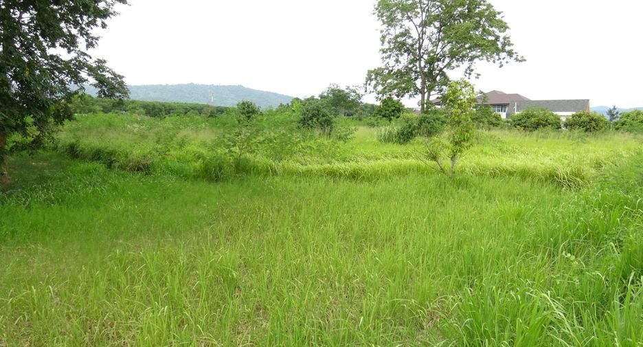 ขาย ที่ดิน ใน ปากช่อง, นครราชสีมา
