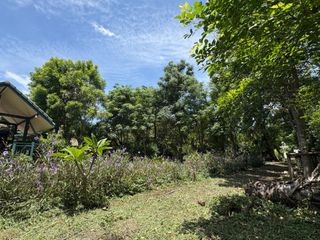 Terreno en venta en Sai Noi, Nonthaburi