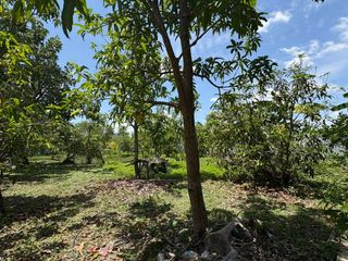 Terreno en venta en Sai Noi, Nonthaburi