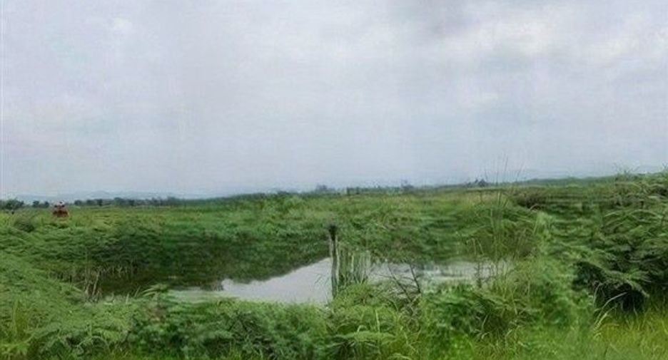 出售 土地 在 Bueng Sam Phan, Phetchabun