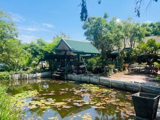 Terreno en venta en Sai Noi, Nonthaburi