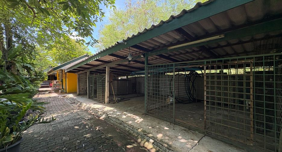Terreno en venta en Sai Noi, Nonthaburi