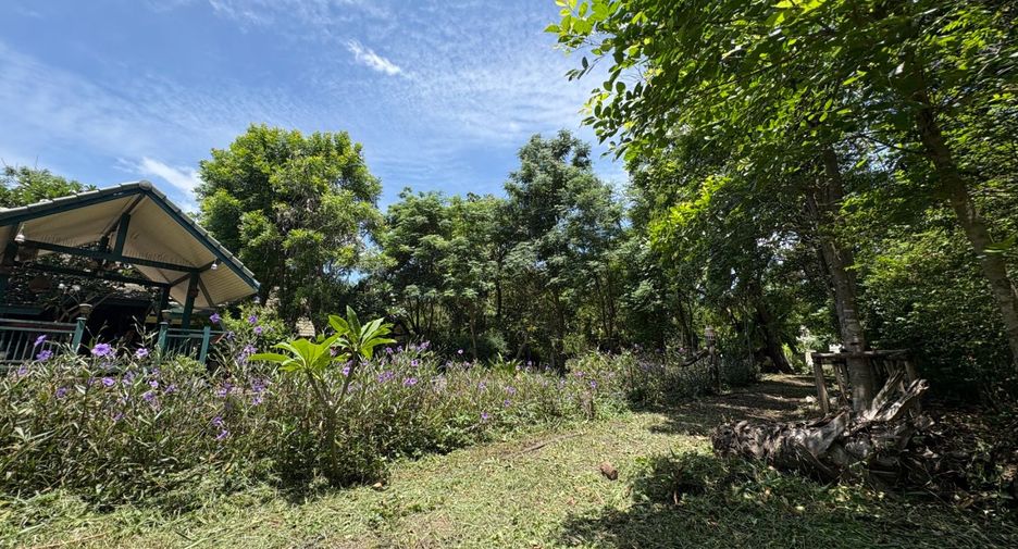 Terreno en venta en Sai Noi, Nonthaburi