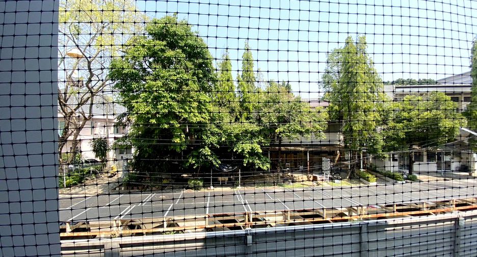 Condo en alquiler y en venta de estudio en Mueang Chiang Mai, Chiang Mai