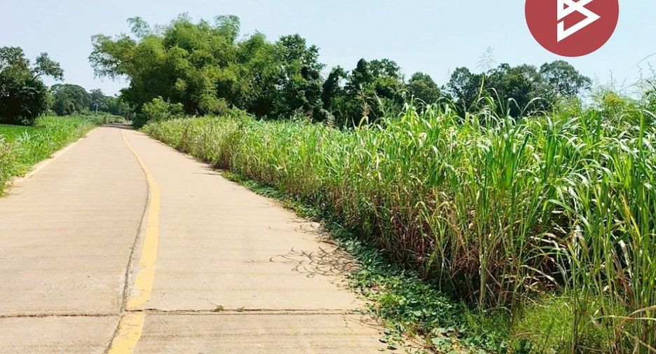 For sale land in Krok Phra, Nakhon Sawan