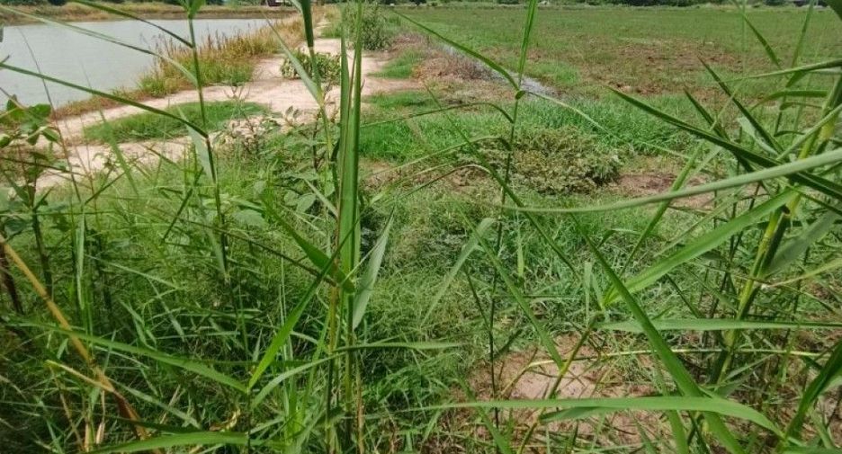 Terreno en venta en Mueang Chachoengsao, Chachoengsao