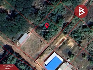 For sale land in Phon Phisai, Nong Khai
