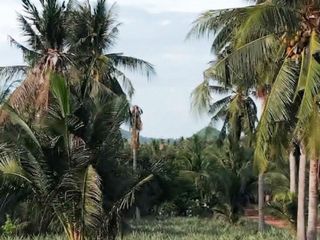 Grundstück zum Kauf in Pran Buri, Prachuap Khiri Khan