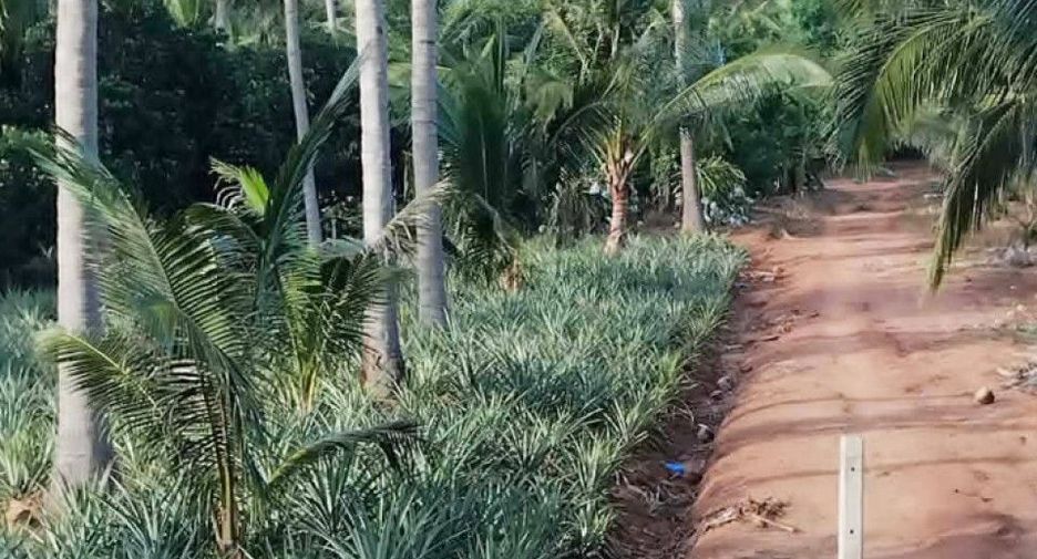 Grundstück zum Kauf in Pran Buri, Prachuap Khiri Khan