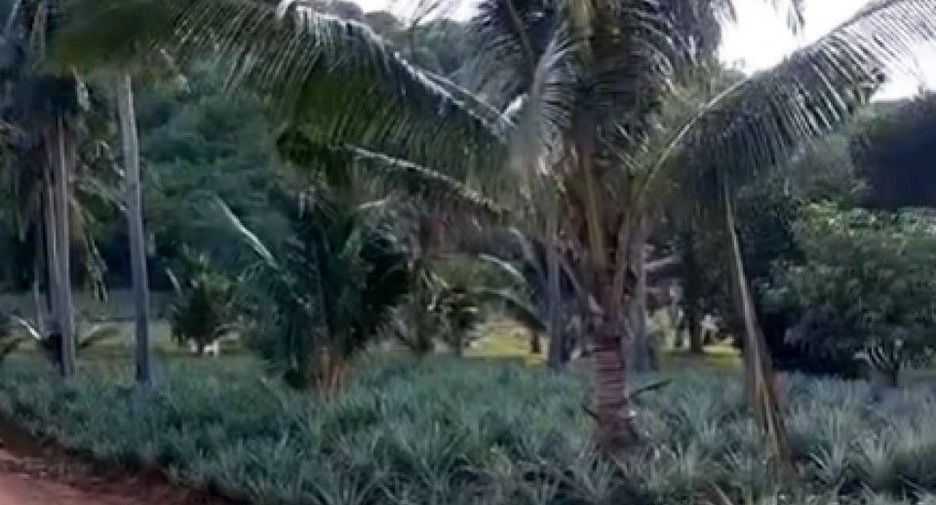 Grundstück zum Kauf in Pran Buri, Prachuap Khiri Khan