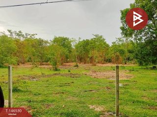 For sale land in Thung Song, Nakhon Si Thammarat
