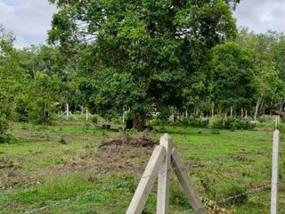 For sale land in Thung Song, Nakhon Si Thammarat