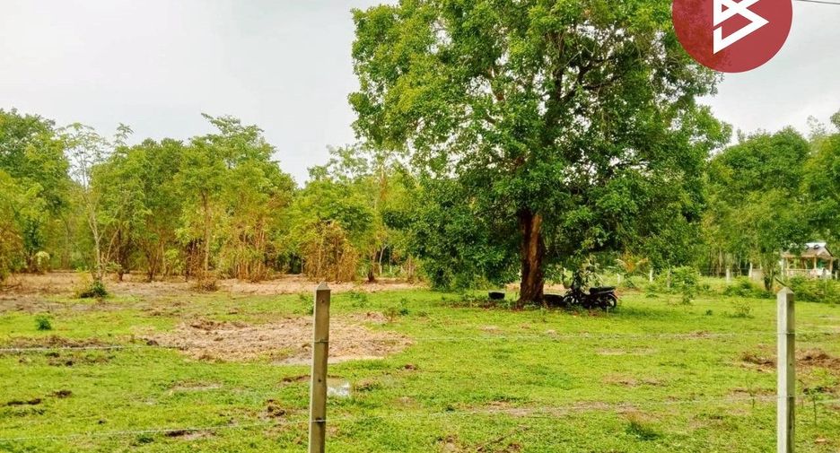 For sale land in Thung Song, Nakhon Si Thammarat