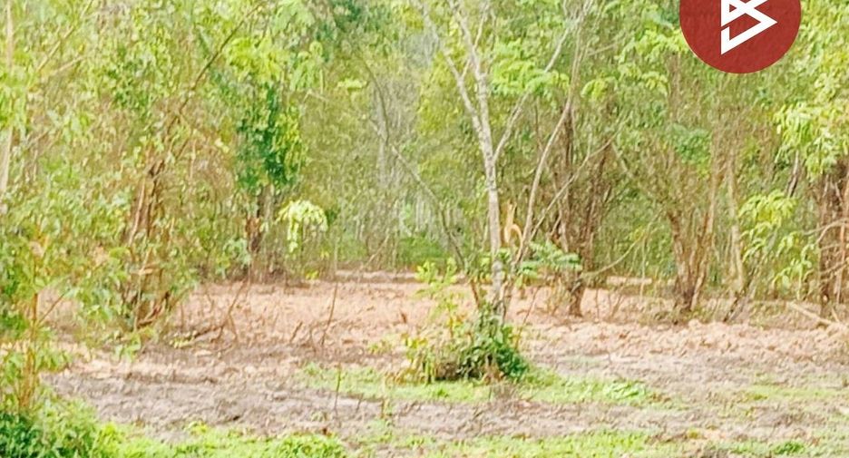 For sale land in Thung Song, Nakhon Si Thammarat