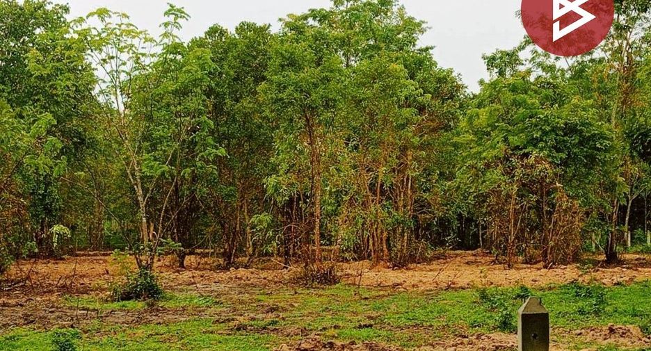 For sale land in Thung Song, Nakhon Si Thammarat