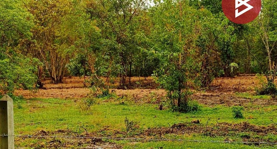 For sale land in Thung Song, Nakhon Si Thammarat