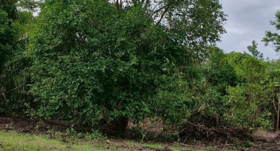 For sale land in Thung Song, Nakhon Si Thammarat