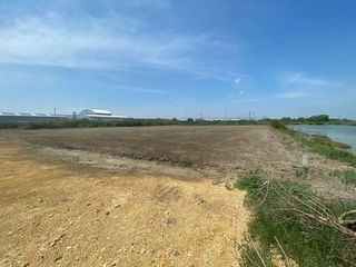 For sale land in Phra Samut Chedi, Samut Prakan