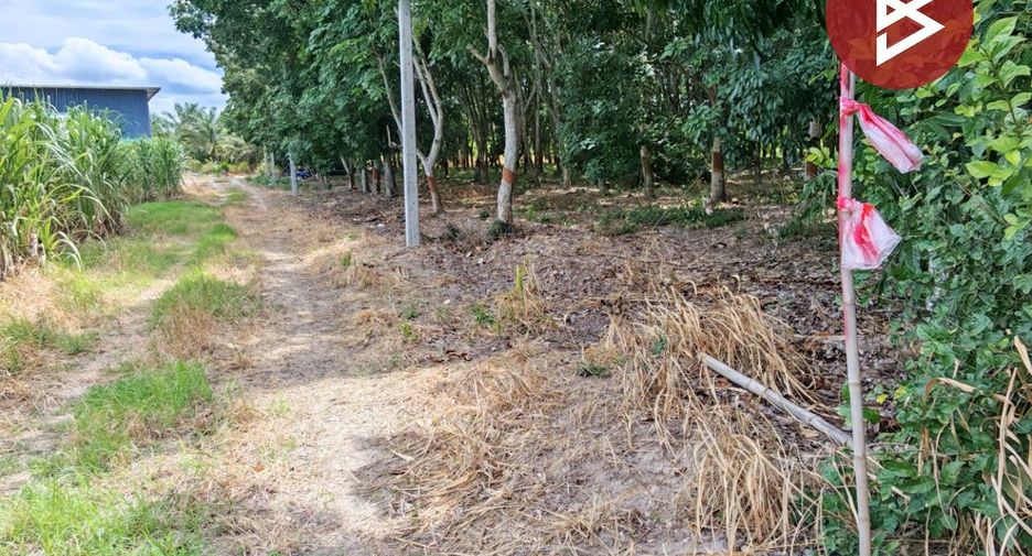 For sale land in Ban Bueng, Chonburi