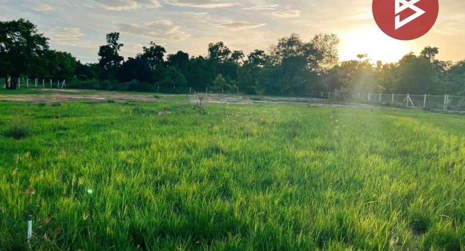 For sale land in Don Chedi, Suphan Buri