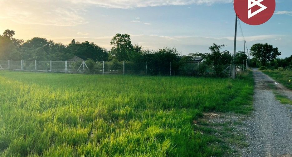 For sale land in Don Chedi, Suphan Buri