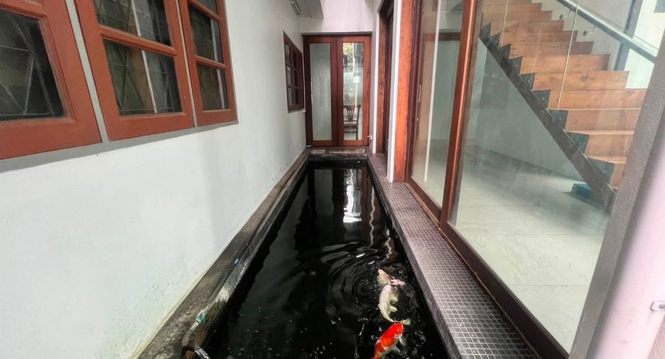 For rent and for sale 5 bedrooms house in San Sai, Chiang Mai