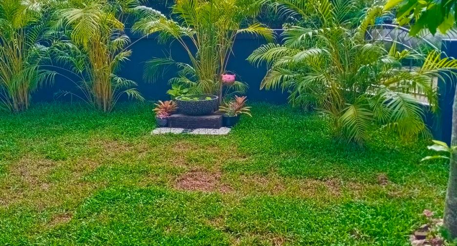 For rent 3 bedrooms house in San Sai, Chiang Mai