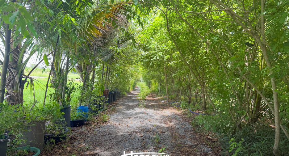 For sale land in Nong Chok, Bangkok
