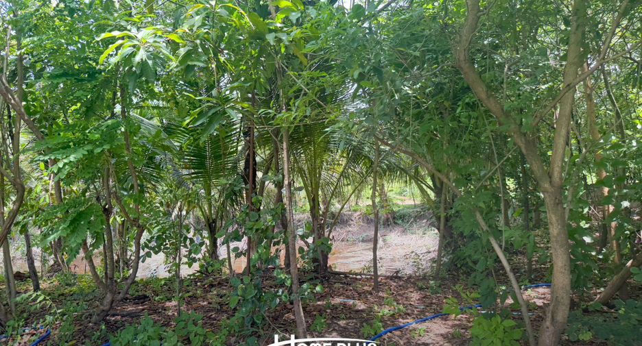 For sale land in Nong Chok, Bangkok