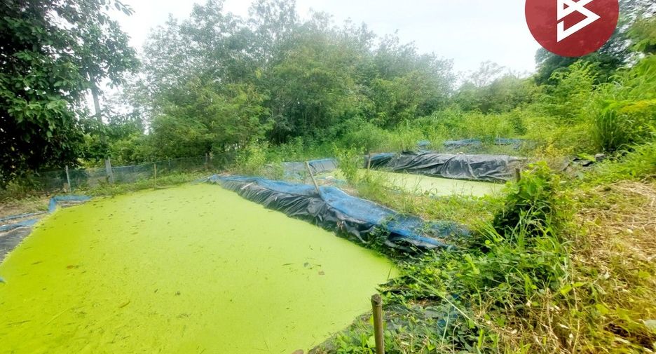 For sale land in Pho Tak, Nong Khai