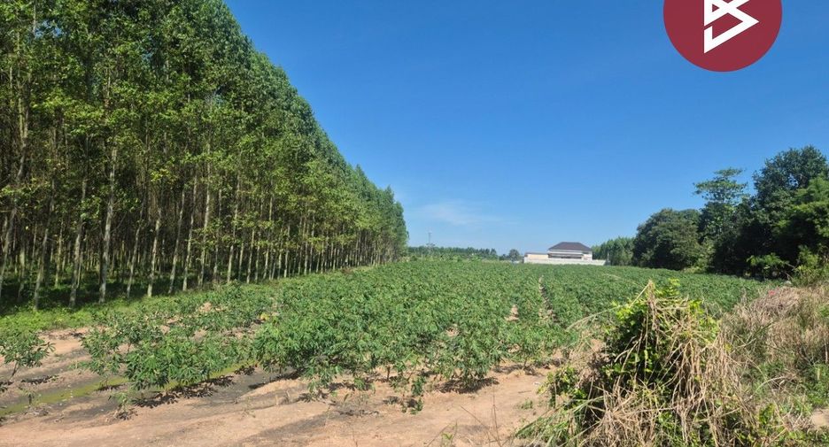For sale land in Phanat Nikhom, Chonburi