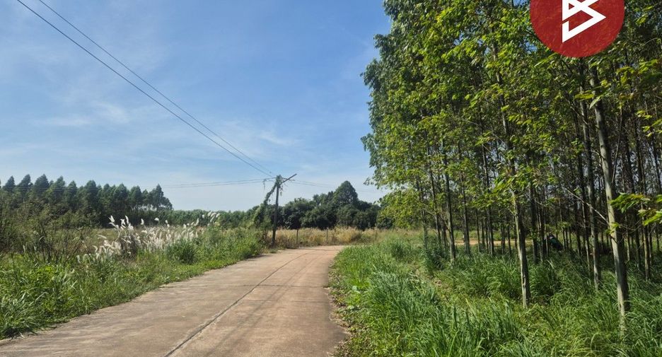 For sale land in Phanat Nikhom, Chonburi
