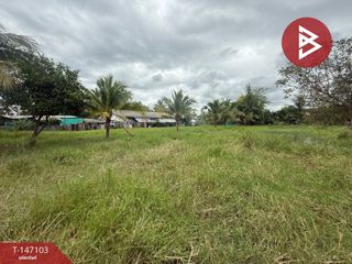 ขาย ที่ดิน ใน สันทราย, เชียงใหม่