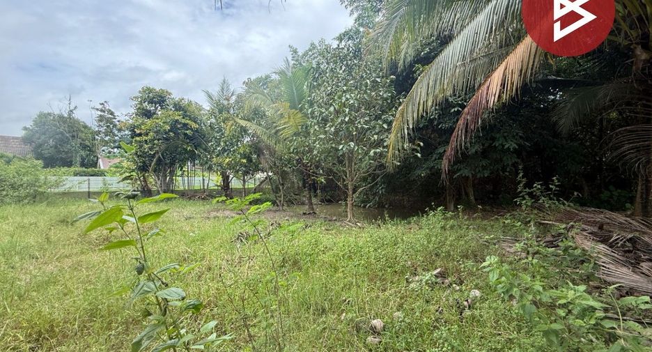 ขาย ที่ดิน ใน สันทราย, เชียงใหม่