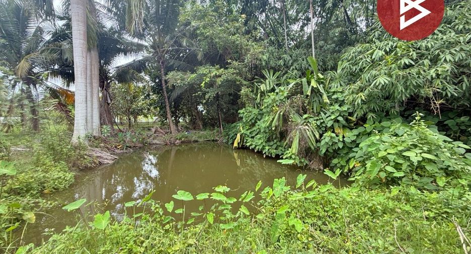 ขาย ที่ดิน ใน สันทราย, เชียงใหม่