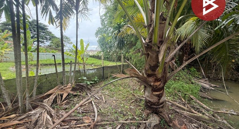 ขาย ที่ดิน ใน สันทราย, เชียงใหม่