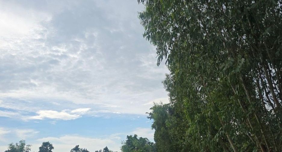 Продажа Участок в Na Mon, Kalasin