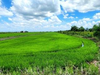 For sale land in Ongkharak, Nakhon Nayok
