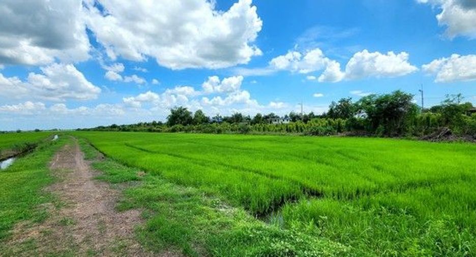 For sale land in Ongkharak, Nakhon Nayok