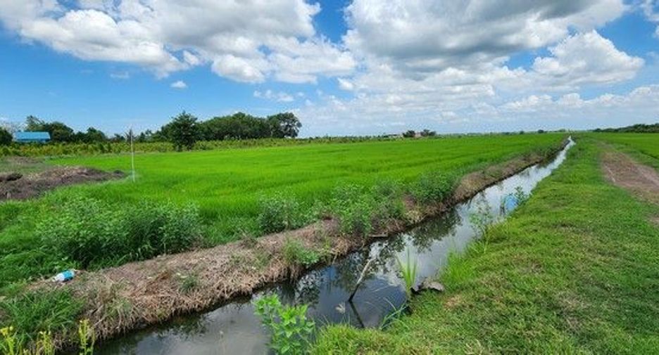 For sale land in Ongkharak, Nakhon Nayok