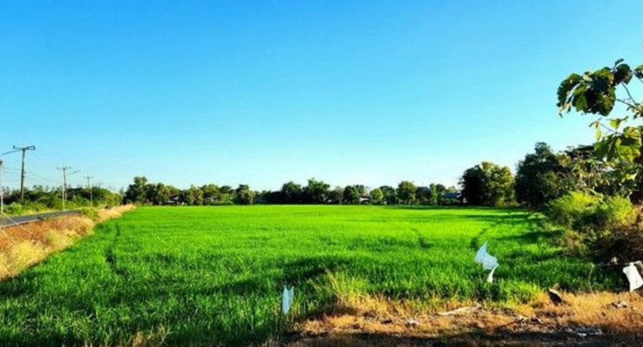 For sale land in Ongkharak, Nakhon Nayok