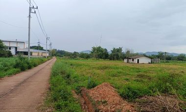 For sale land in Li, Lamphun