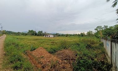 For sale land in Li, Lamphun